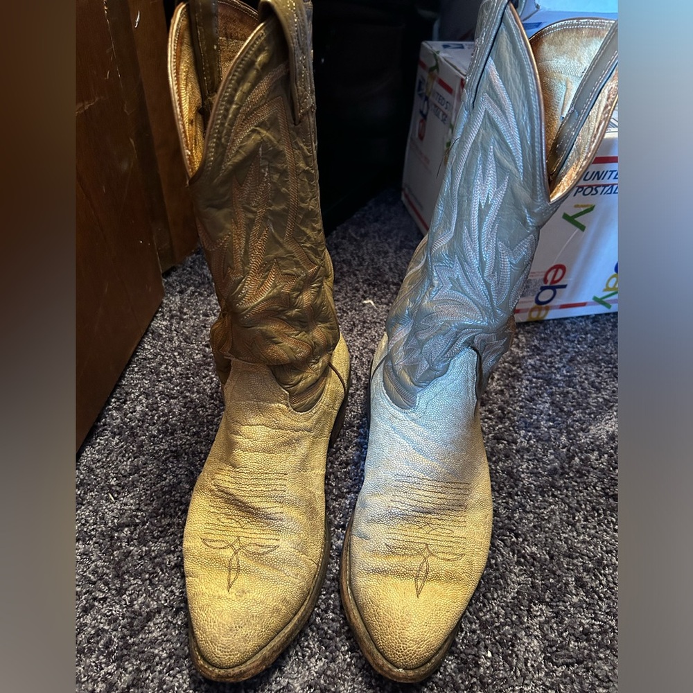 Tony Lama 9.5ee Elephant Cowboy boots